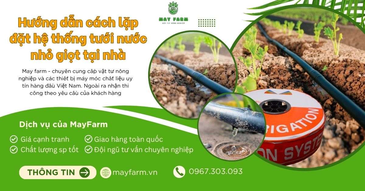 Hướng dẫn cách lặp đặt hệ thống tưới nước nhỏ giọt tại nhà