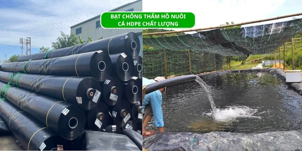 BẠT CHỐNG THẤM HỒ NUÔI CÁ HDPE CHẤT LƯỢNG