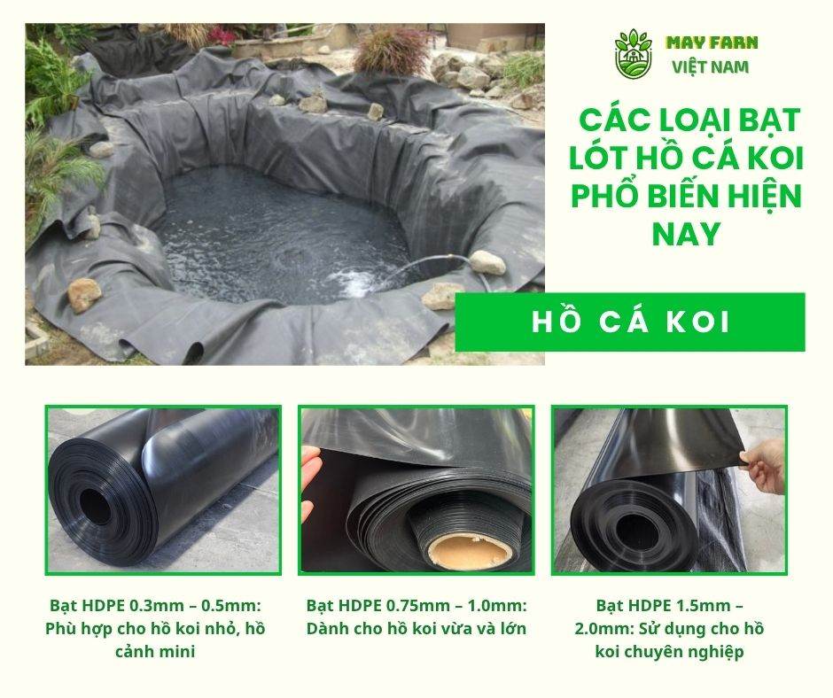 Các loại bạt lót hồ cá Koi phổ biến hiện nay