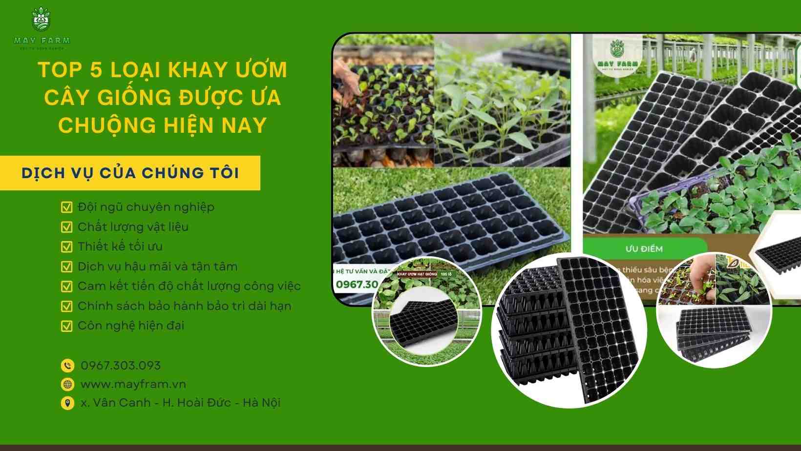 Top 5 loại khay ươm cây giống được ưa chuộng hiện nay