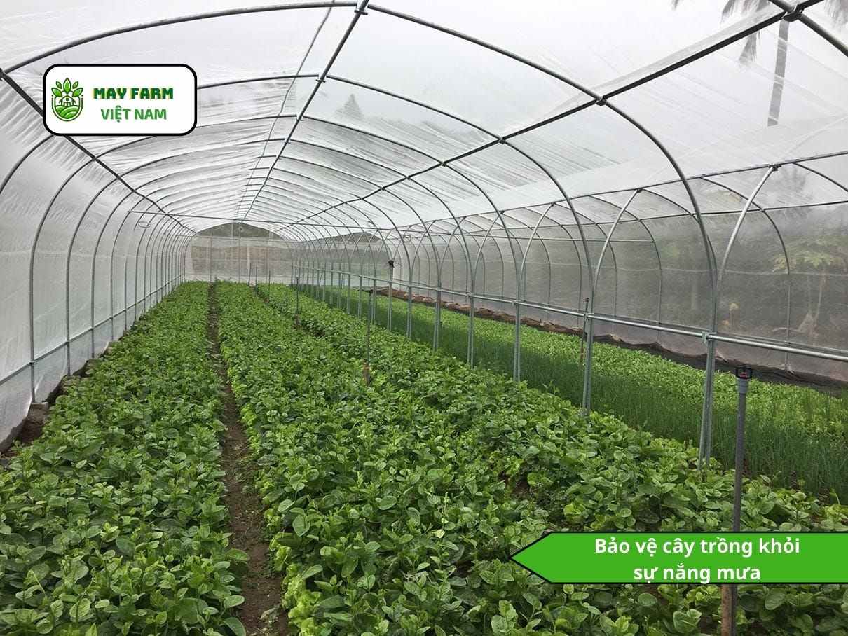 Vì sao nên chọn màng nhà kính độ bền cao?