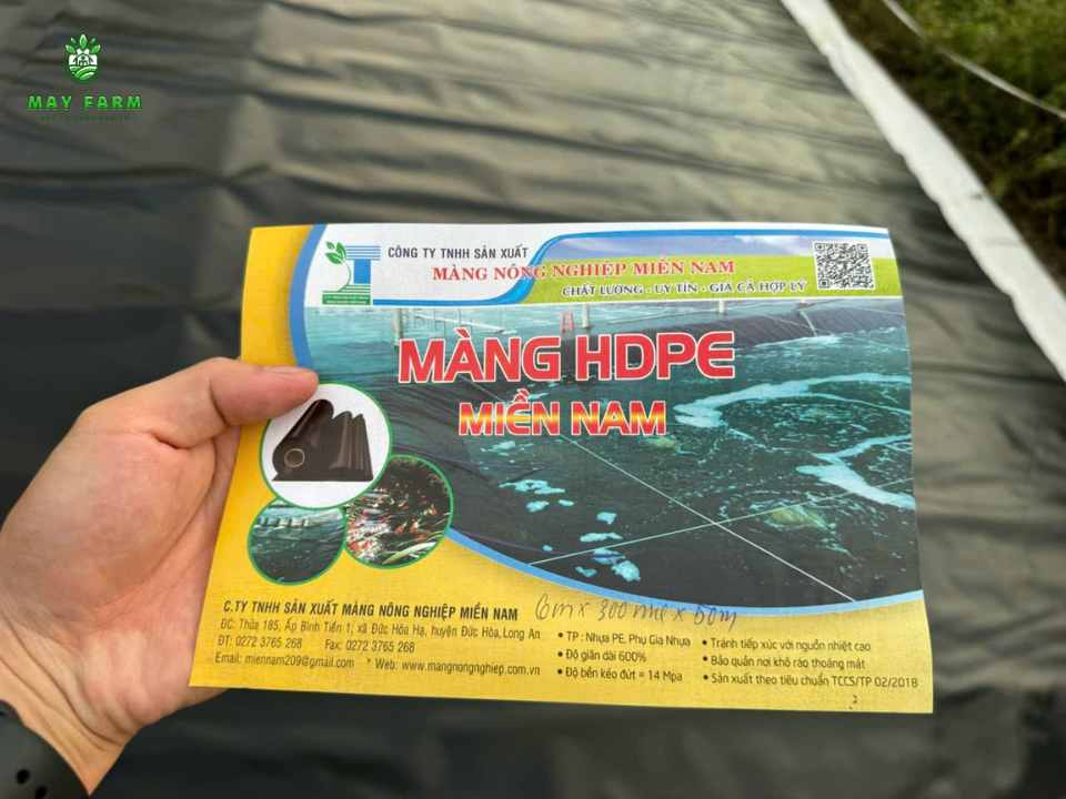 Tiêu chuẩn cần đảm bảo khi thi công hầm biogas bể biogas HDPE