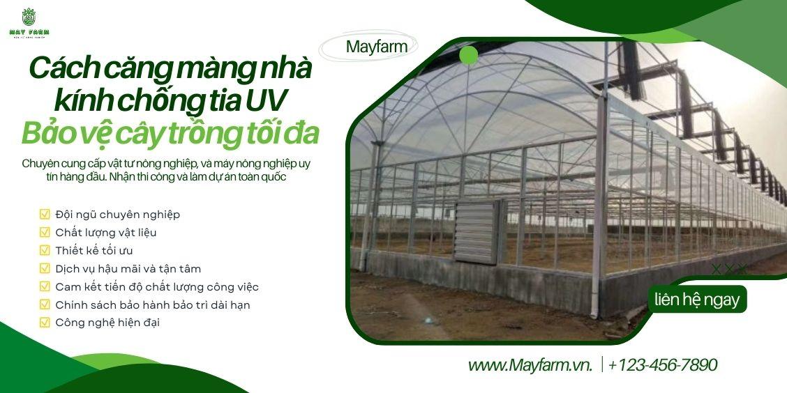 Cách căng màng nhà kính chống tia UV: Bảo vệ cây trồng tối đa