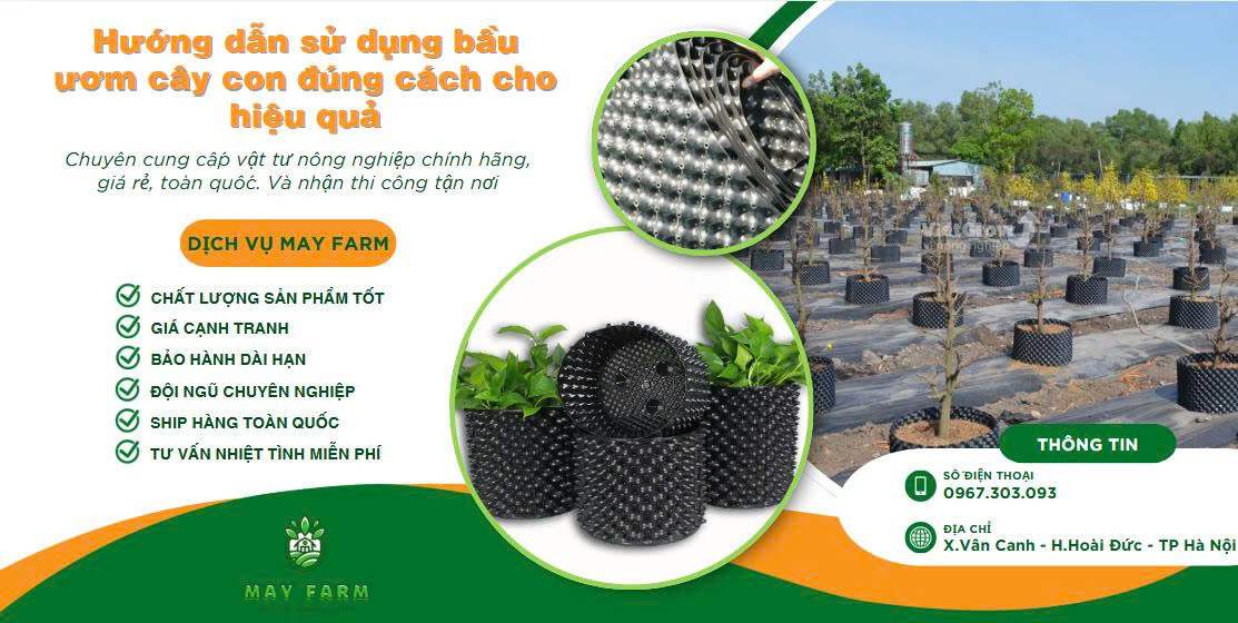 Hướng dẫn sử dụng bầu ươm cây con đúng cách cho hiệu quả