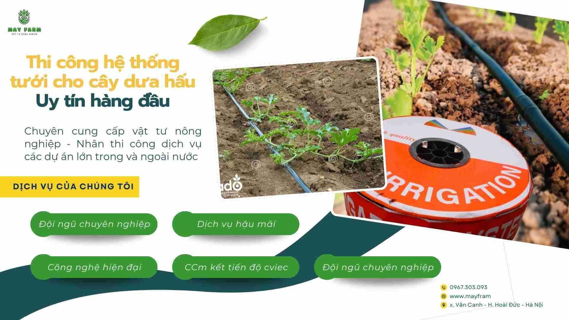 Thi công hệ thống tưới cho cây dưa hấu | Uy tín hàng đầu