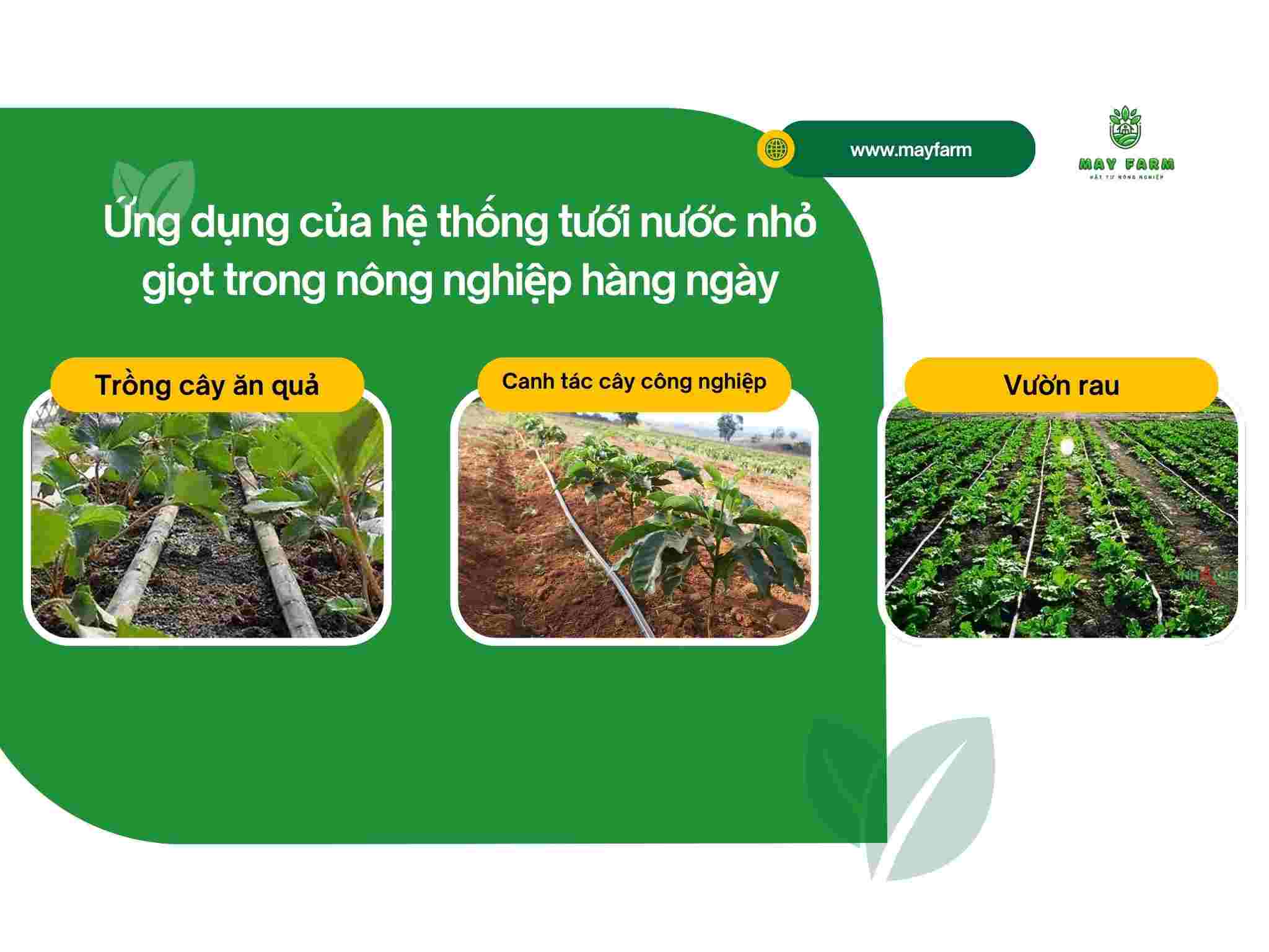 Ứng dụng của hệ thống tưới nước nhỏ giọt trong nông nghiệp hàng ngày