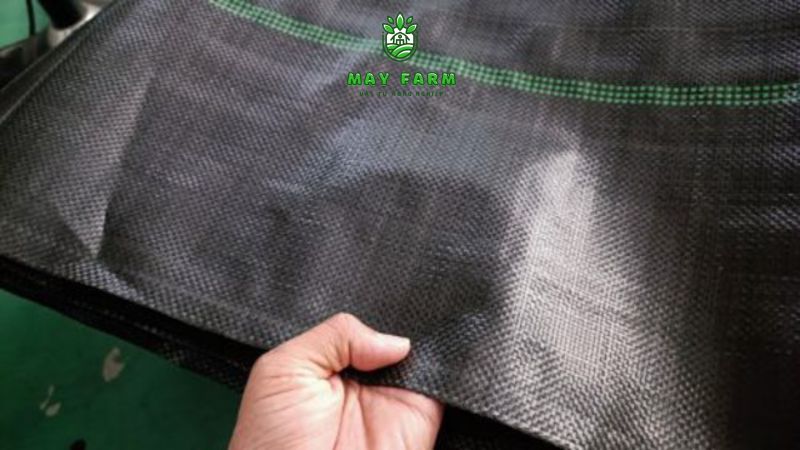  Đặc điểm nổi bật của bạt phủ chống cỏ 80g