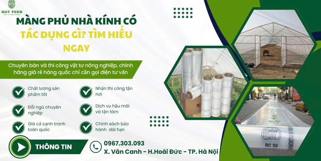 Màng phủ nhà kính có tác dụng gì? Tìm hiểu ngay