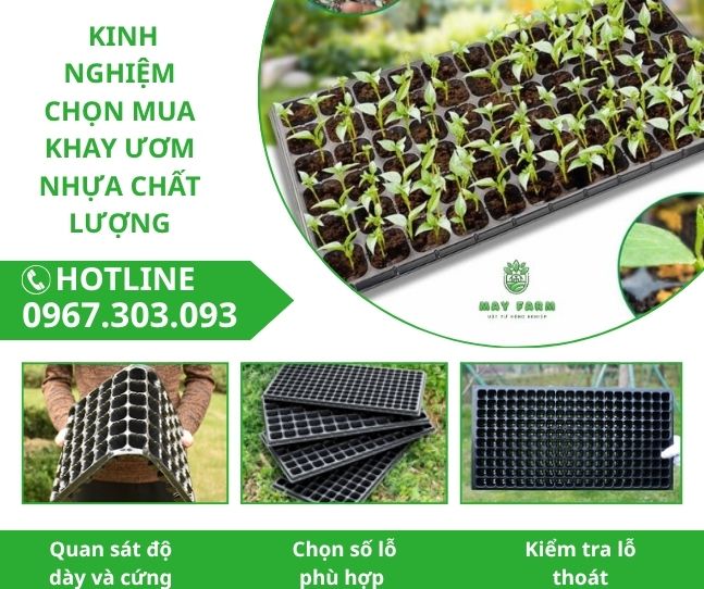  Kinh nghiệm chọn mua khay ươm nhựa chất lượng