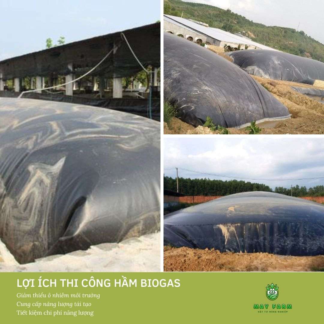 Thi công hầm biogas