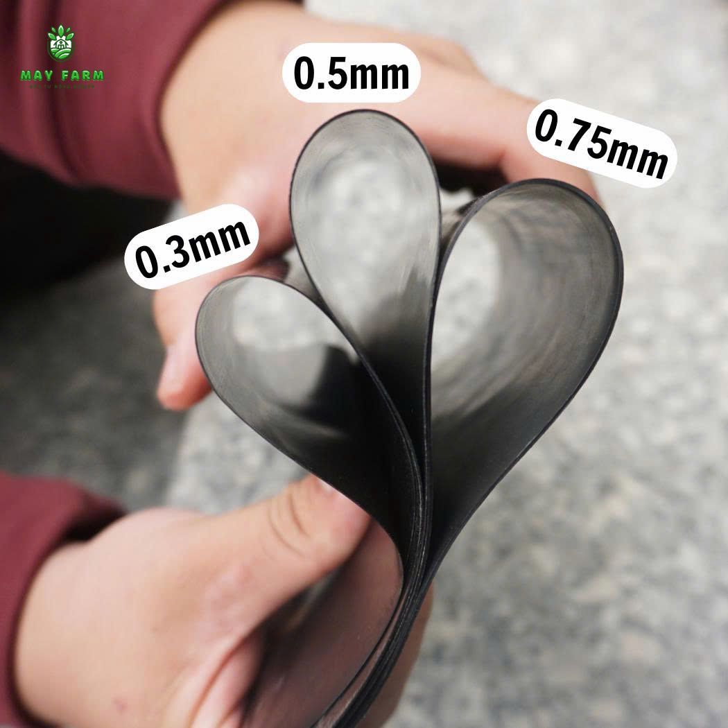 Các loại màng HDPE Solmax phổ biến cho hồ chứa nước