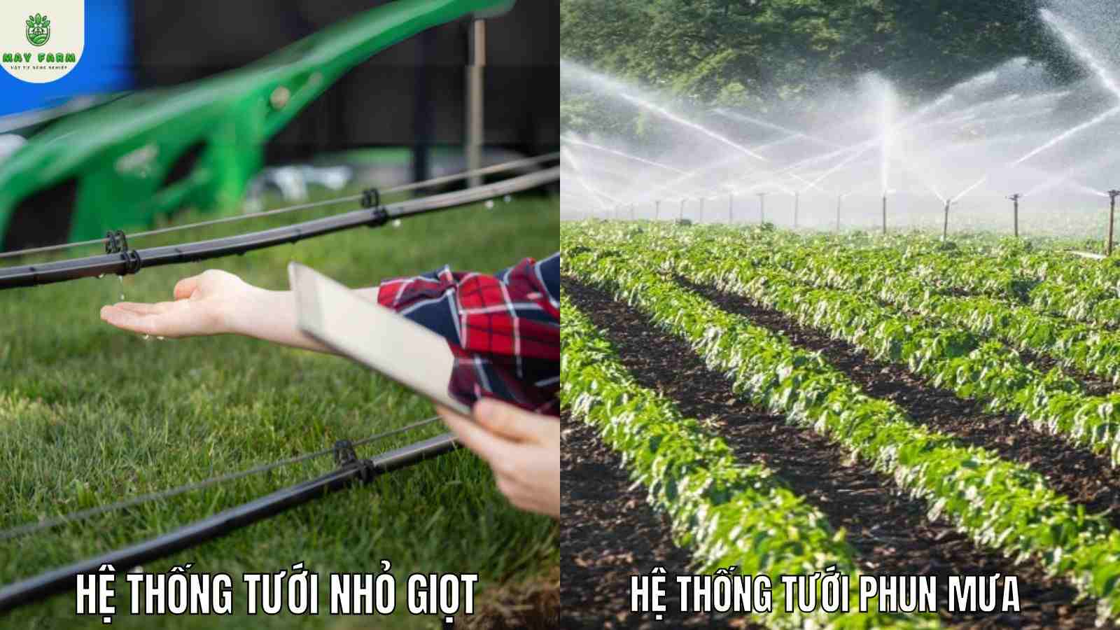 Các hệ thống tưới phổ biến mà May Farm cung cấp thi công