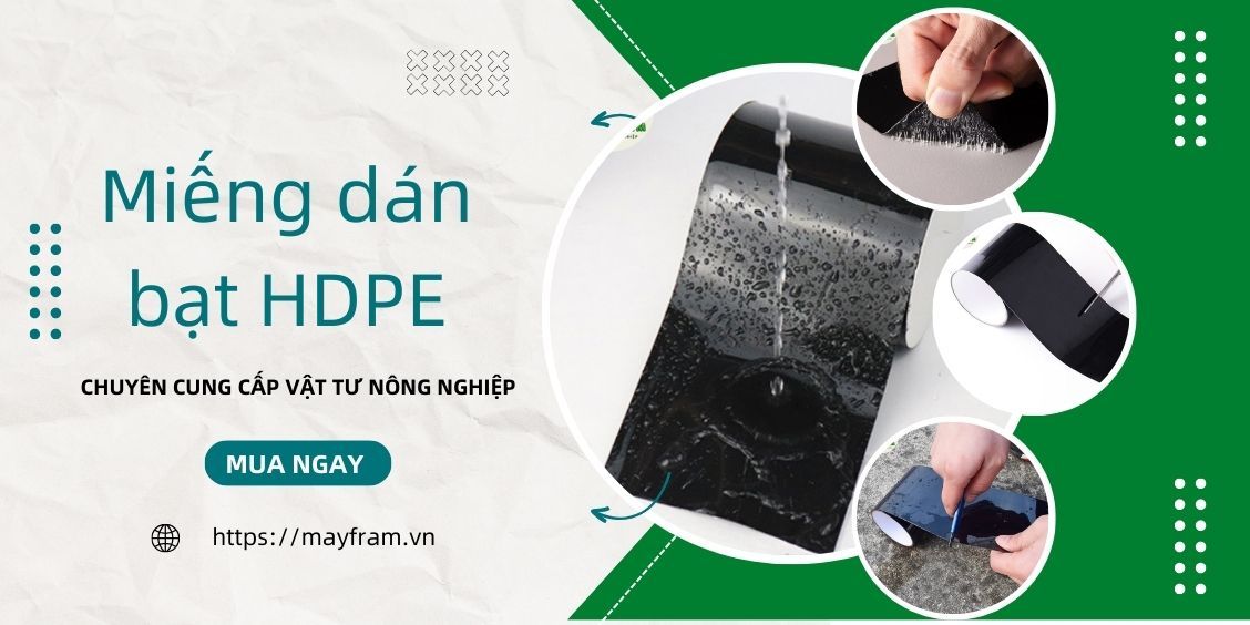 Miếng dán bạt HDPE: giải pháp chắc chắn cho các dự án của bạn