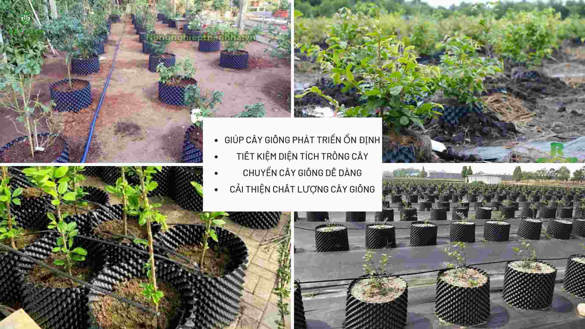 Lợi ích của việc sử dụng bầu đất cỏ cây