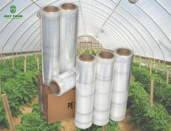  Cách lựa chọn địa chỉ bán lẻ màng nhà kính uy 