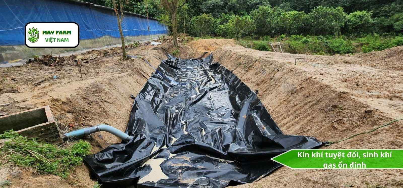 Vì sao nên chọn túi biogas trại heo HDPE chất lượng cao