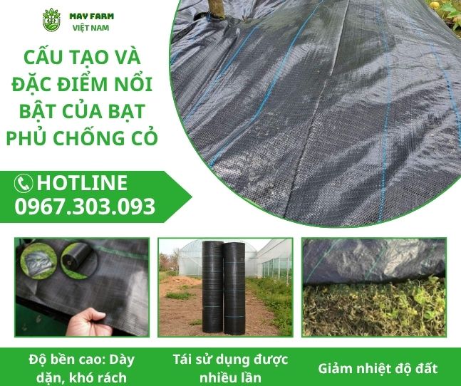 Cấu tạo và đặc điểm nổi bật của bạt phủ chống cỏ