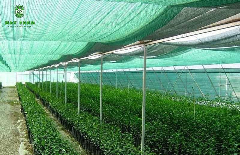  Mẹo bảo quản và sử dụng lưới bền lâu - Không căng lưới quá chặt