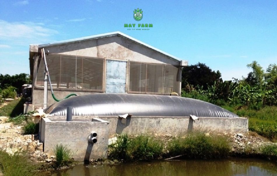 Các yếu tố cần cân nhắc khi chọn túi biogas - Diện tích và nhu cầu lắp đặt
