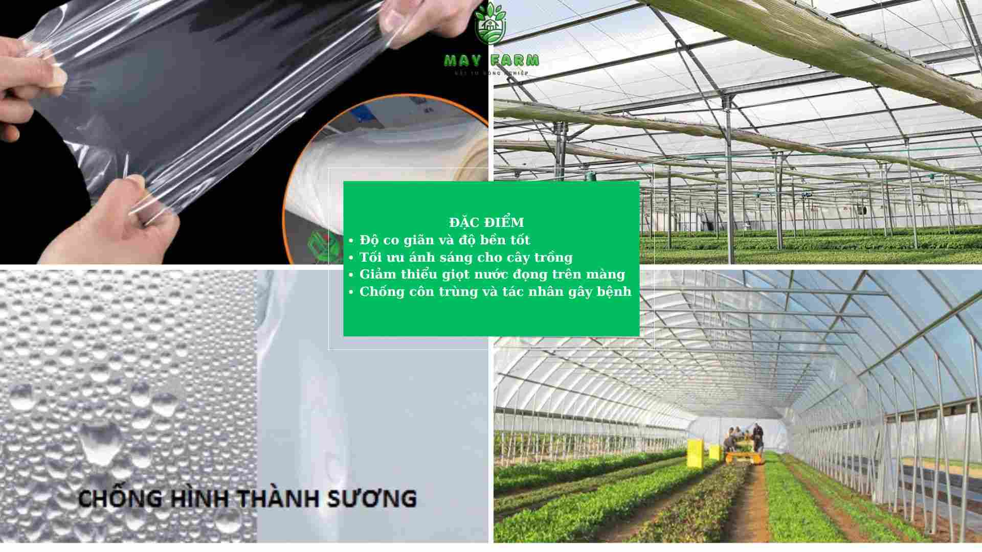 Đặc điểm cấu tạo của màng nhà kính
