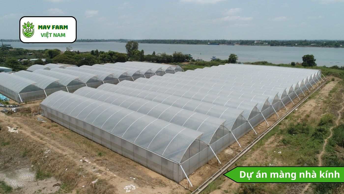 Dự án tiêu biểu - Dự án màng nhà kính