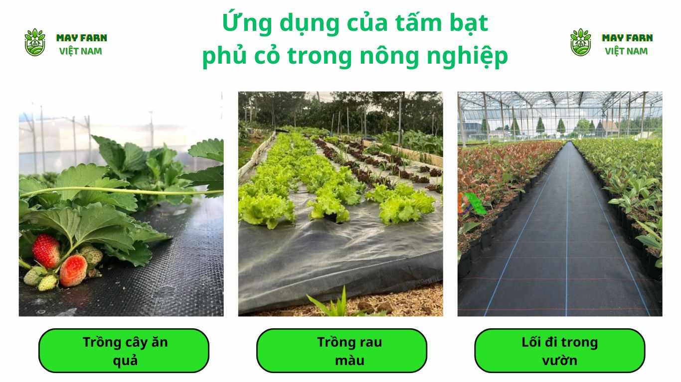 Ứng dụng của tấm bạt phủ cỏ trong nông nghiệp