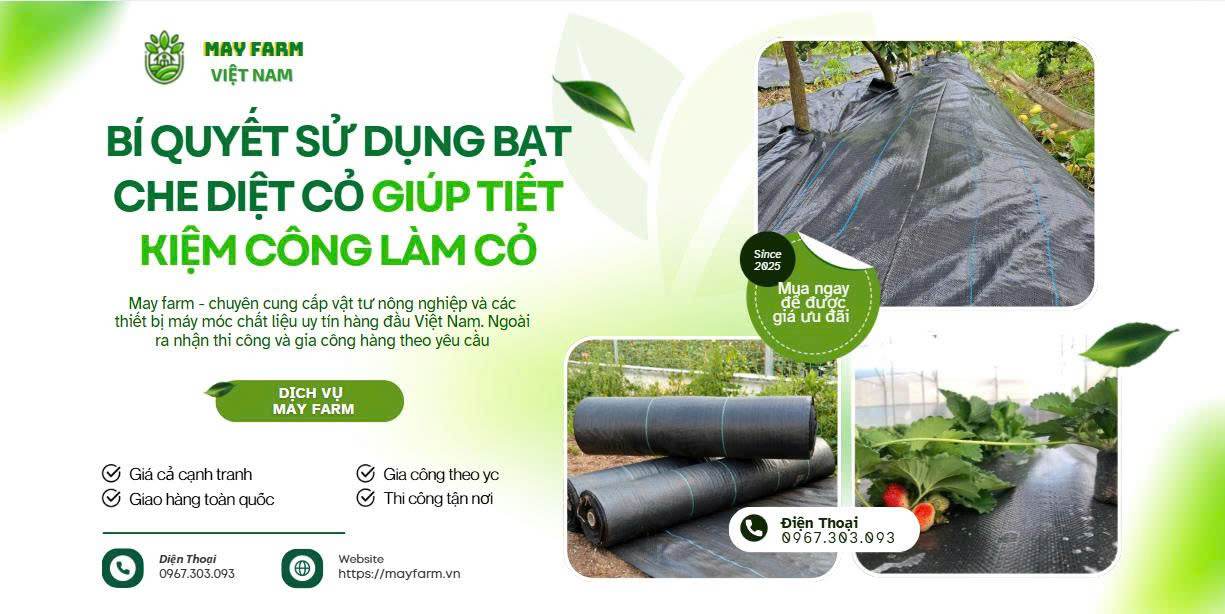 Bí Quyết Sử Dụng Bạt Che Diệt Cỏ Giúp Tiết Kiệm Công Làm Cỏ