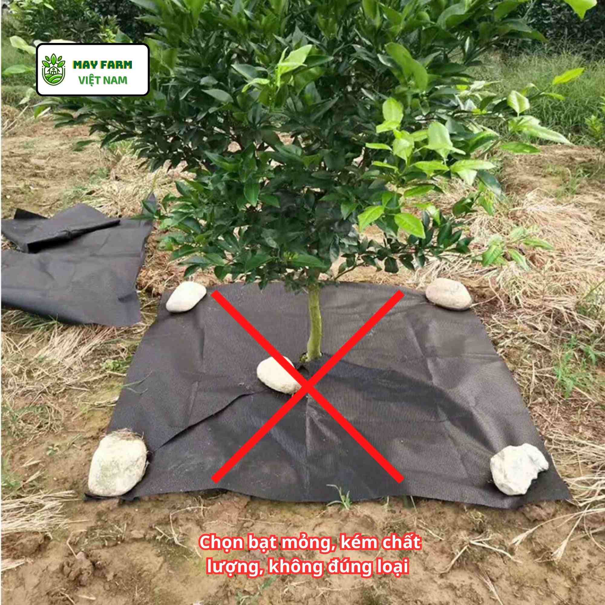 Những hạn chế cần biết khi dùng tấm phủ chống cỏ