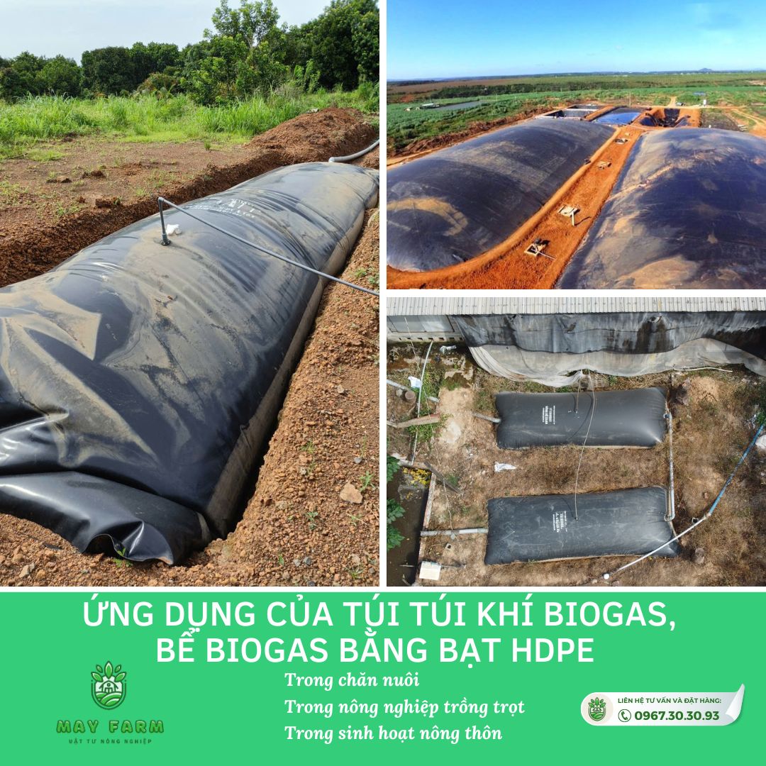 Ứng dụng của túi Túi khí biogas, bể biogas bằng bạt HDPE 