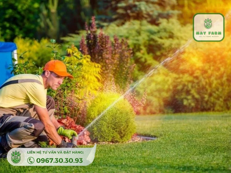 hệ thống tưới cỏ giúp người dùng tiết kiệm thời gian, công sức 