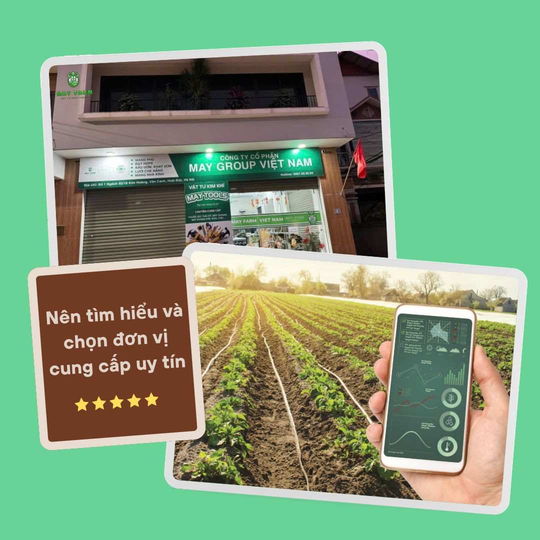 Nên tìm hiểu và chọn đơn vị cung cấp uy tín