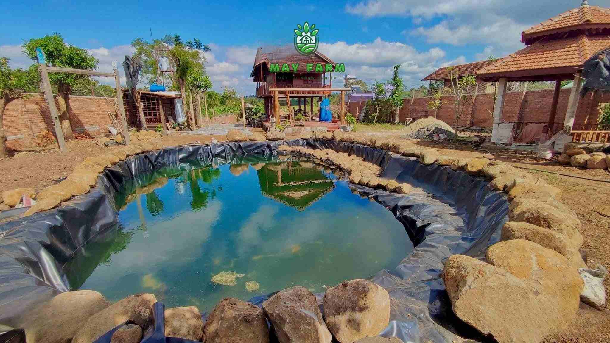 Thi công hồ cảnh quan sân vườn