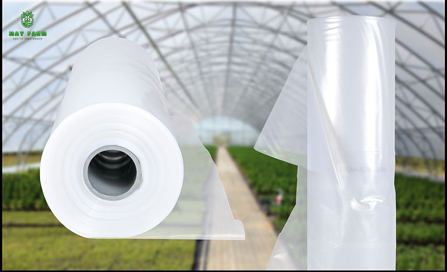  Chất lượng và độ bền của màng nhà kính Việt Nam