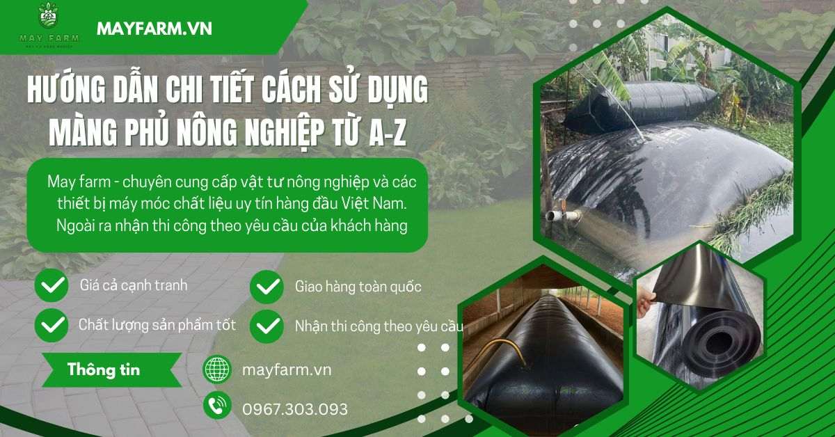 Thi công hầm biogas bể biogas HDPE đạt chuẩn cho trang