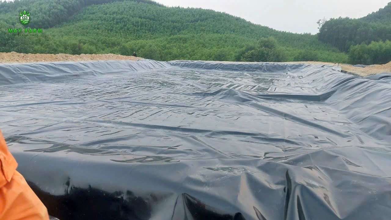 Dự án bạt HDPE 16600 m2 