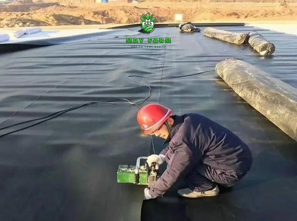 Một số lưu ý lhi thi công bạt HDPE nuôi cá KOI