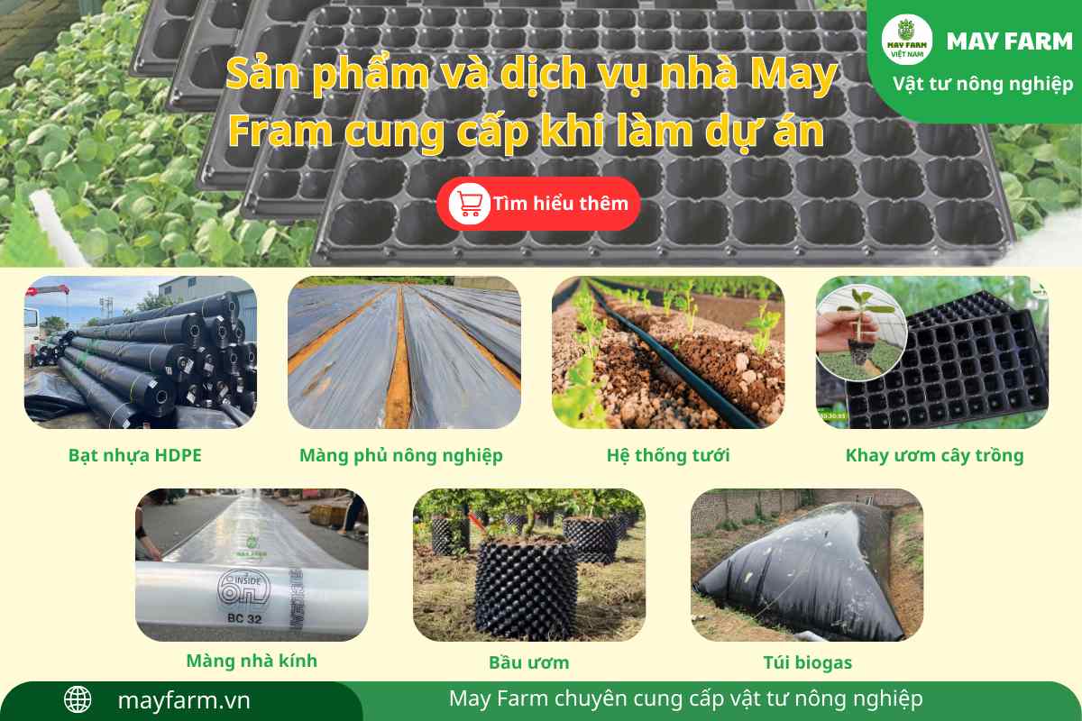 Sản phẩm và dịch vụ nhà May Fram cung cấp khi làm dự án