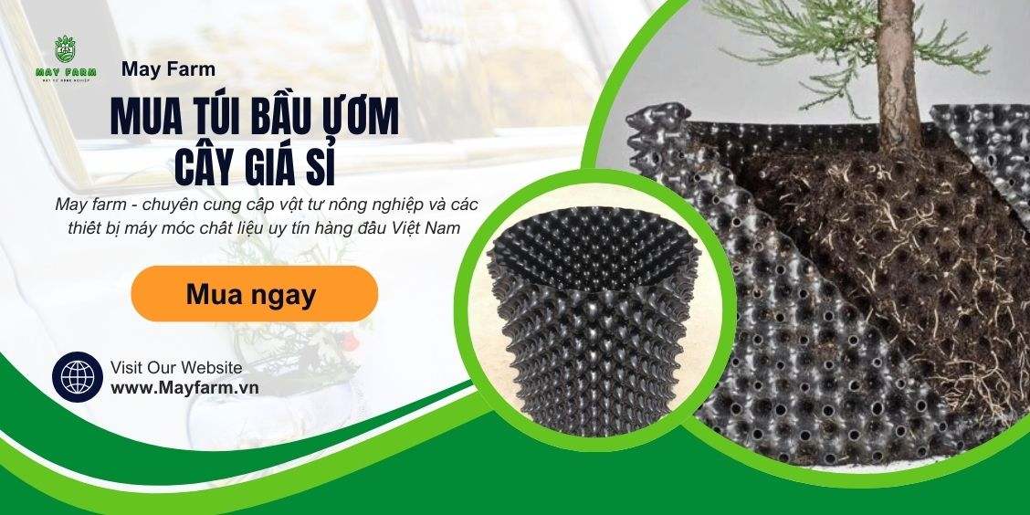 Mua túi bầu ươm cây giá sỉ: Những sai lầm thường gặp và cách tránh