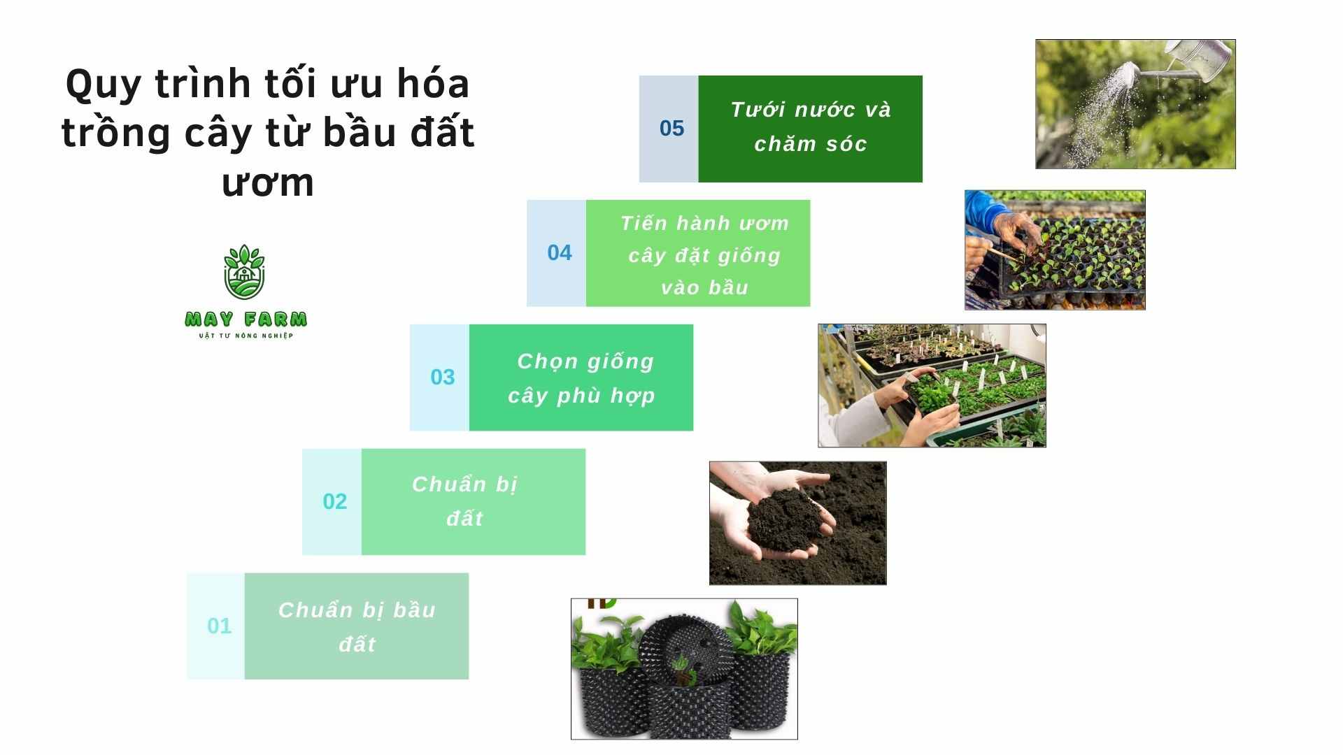 Quy trình tối ưu hoá trồng cây từ bầu đất ươm