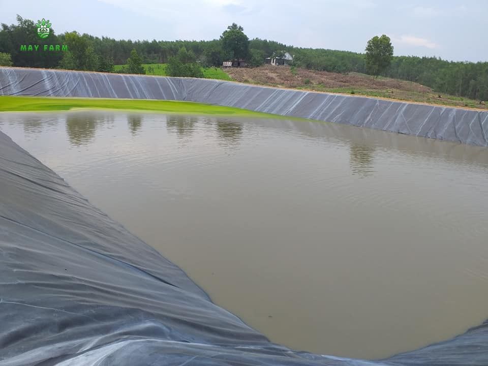 Chọn loại tấm bạt HDPE phù hợp với nhu cầu -  Hồ chứa nước thải