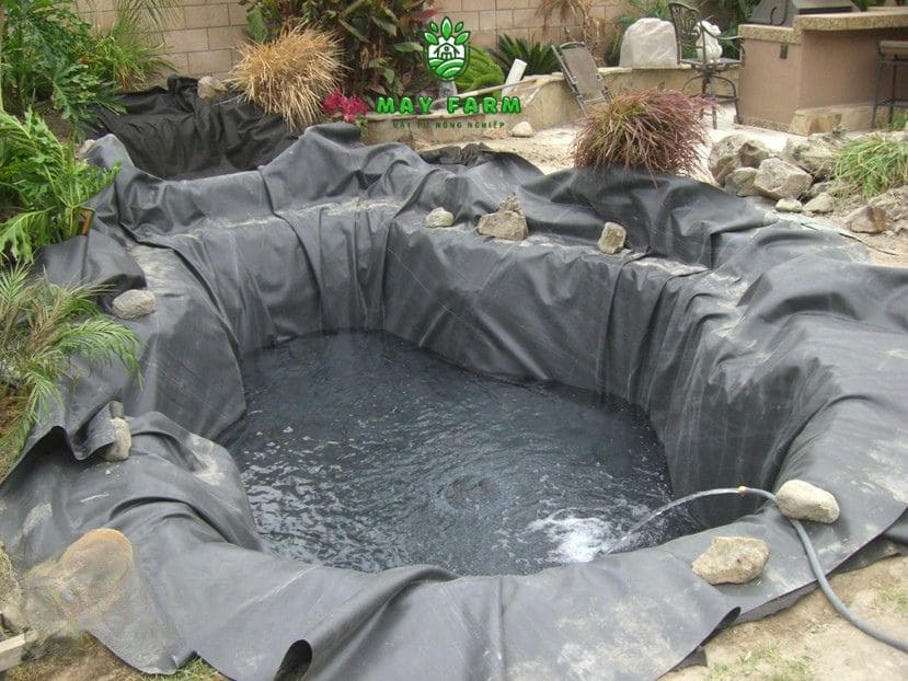  Vì sao nên dùng bạt HDPE để nuôi cá KOI