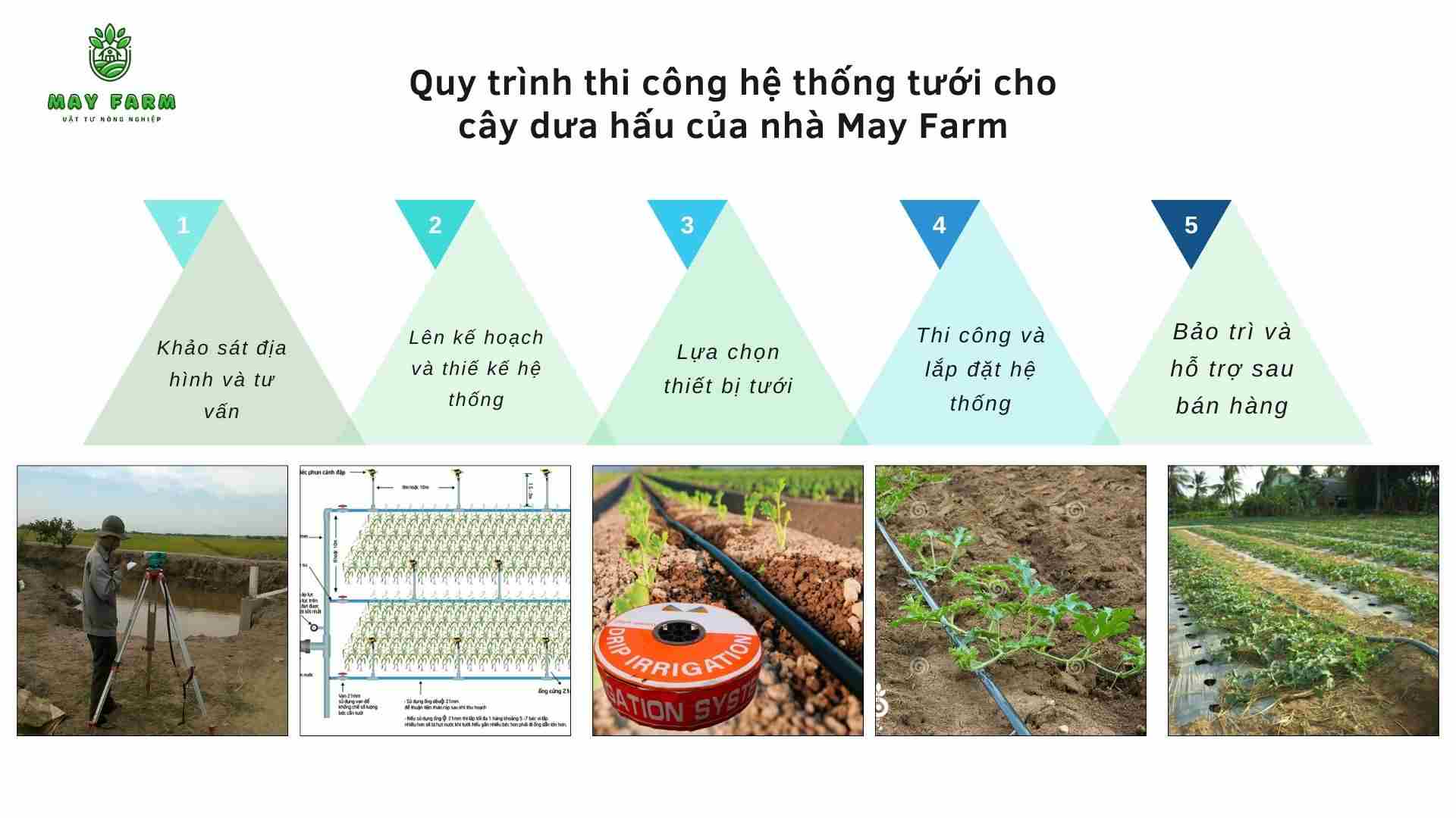Quy trình thi công hệ thống tưới cho cây dưa hấu của nhà May Farm