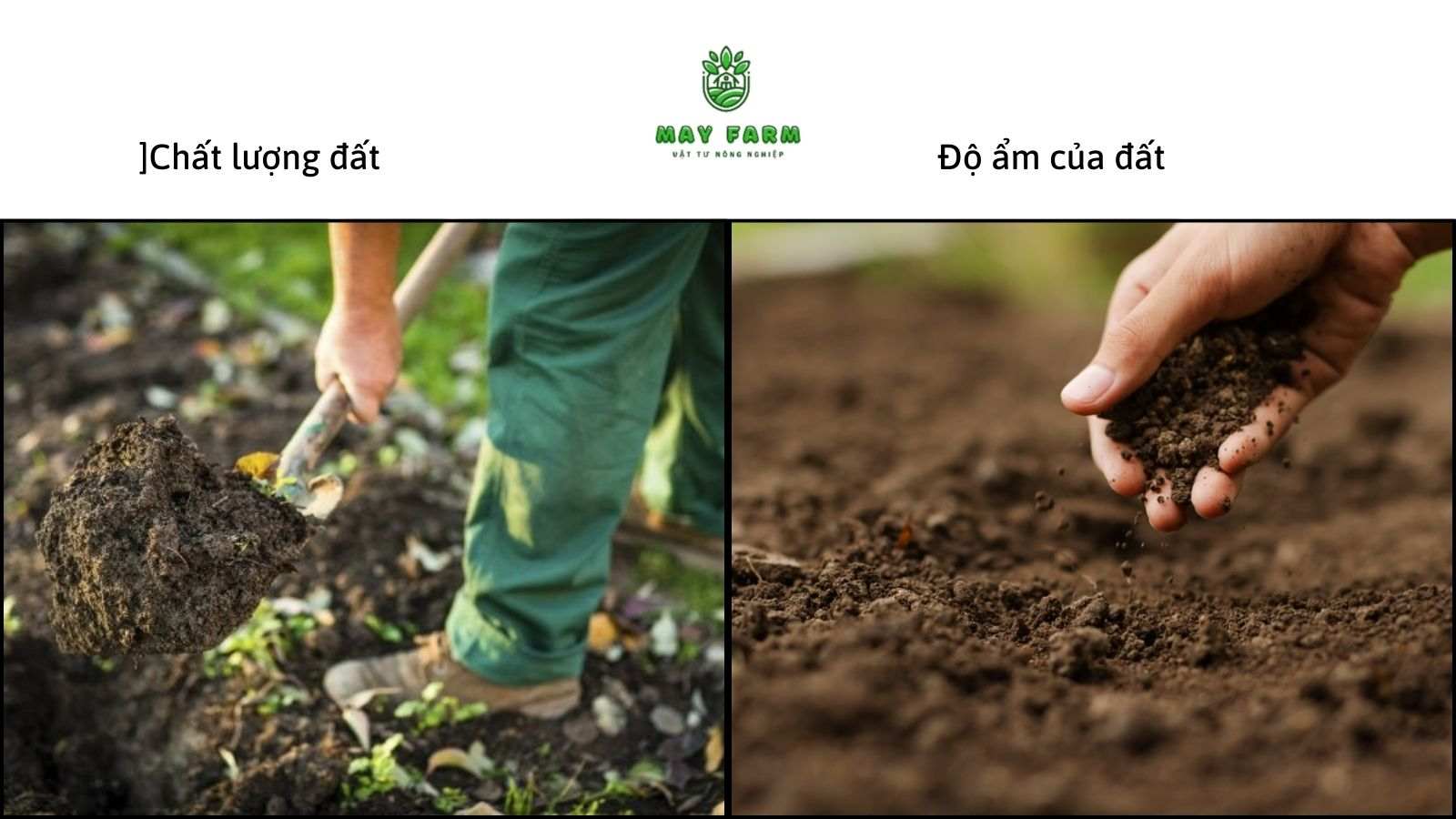 Chất lượng, độ ẩm đất