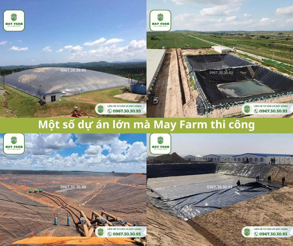 Một số dự án lớn bạt chống thấm HDPE May Farm thi công