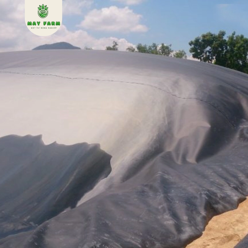 Bạt Biogas