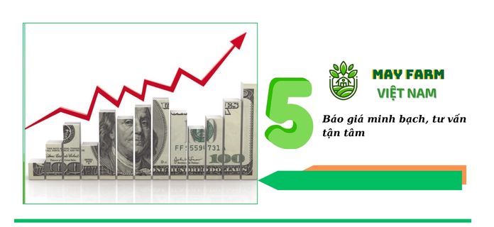 Tại sao nên chọn May Farm là đơn vị thi công bạt HDPE chống thấm, thi công bạt lót hồ hdpe