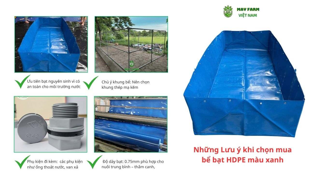 Những Lưu ý khi chọn mua bể bạt HDPE màu xanh