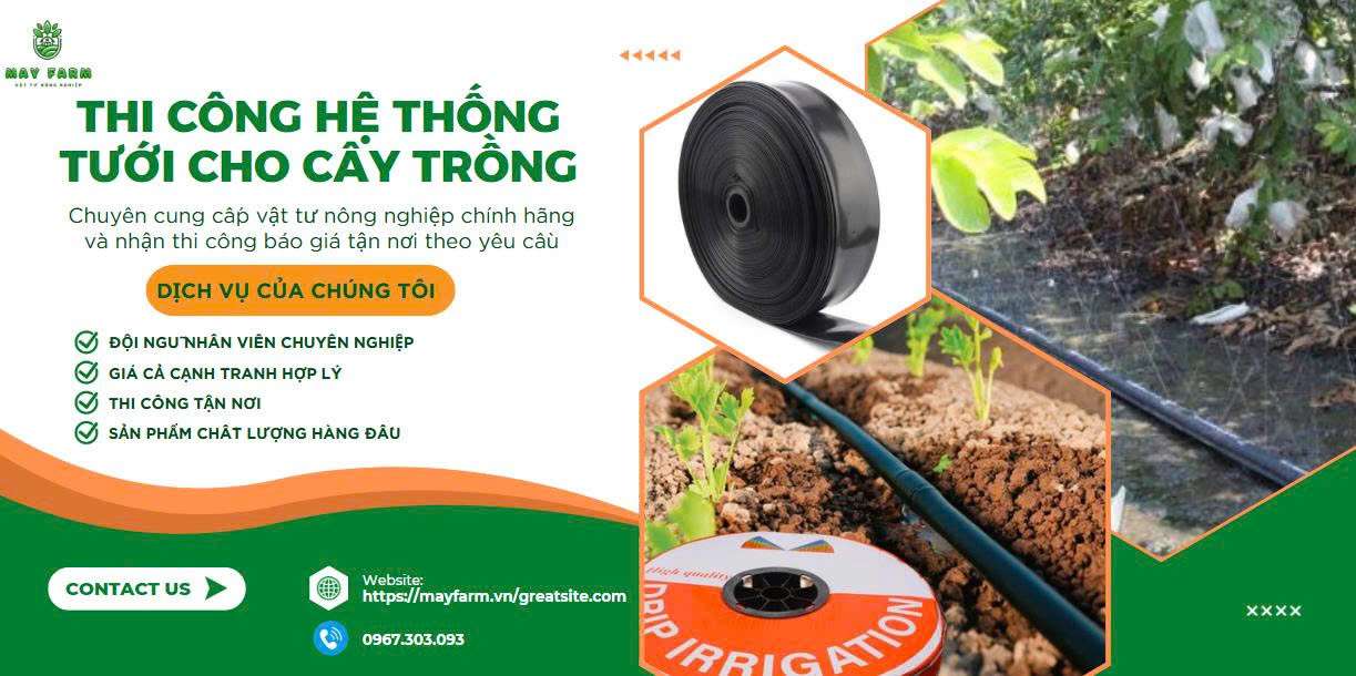 Thi công hệ thống tưới cho cây trồng