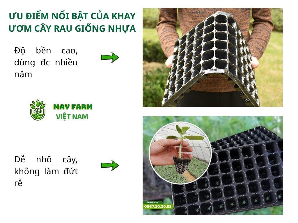 Ưu điểm nổi bật của khay ươm cây rau giống nhựa