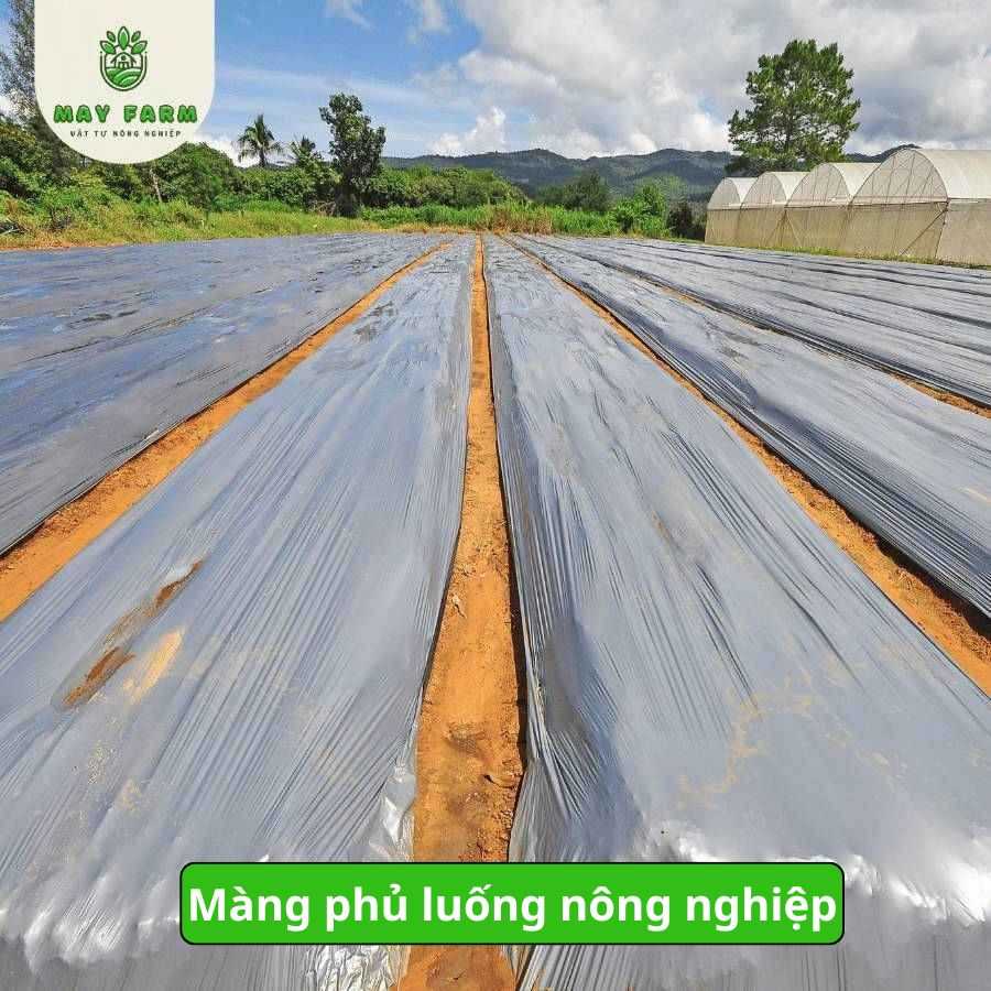 Màng phủ luống nông nghiệp là gì?